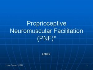 Proprioceptive Neuromuscular Facilitation PNF LENNY Sunday February 6