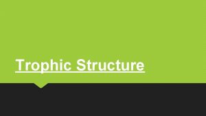 Trophic Structure Trophic Structure Trophic structure A pattern
