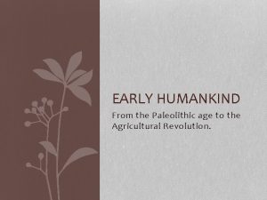 EARLY HUMANKIND From the Paleolithic age to the