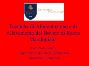 Tecniche di Alimentazione e di Allevamento del Bovino