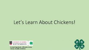 Lets Learn About Chickens An Equal Opportunity Affirmative