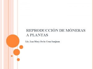 REPRODUCCIN DE MNERAS A PLANTAS Lic Luz Mery