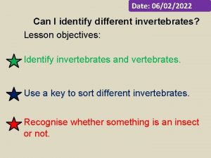 Date 06022022 Can I identify different invertebrates Lesson