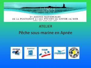 ATELIER Pche sousmarine en Apne Objectif de latelier