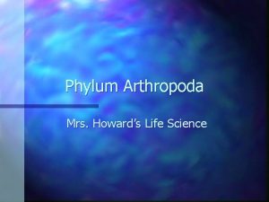 Phylum Arthropoda Mrs Howards Life Science Arthropoda Characteristics