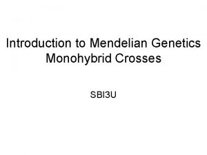 Introduction to Mendelian Genetics Monohybrid Crosses SBI 3