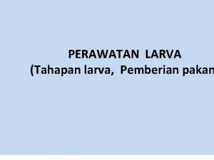 PERAWATAN LARVA Tahapan larva Pemberian pakan Gambar 1