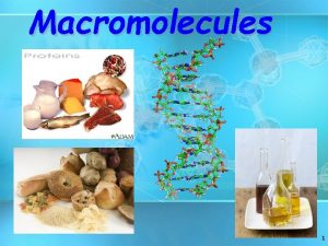 Macromolecules 1 Molecules of Life Macromolecules are large