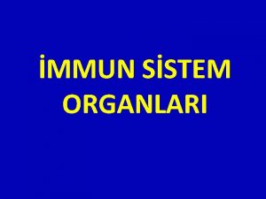 MMUN SSTEM ORGANLARI 1 Primer lenfoid organlar mmun