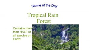 Tropical Rain Forest Contains more than HALF of