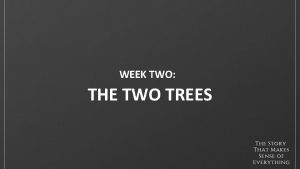 WEEK TWO THE TWO TREES Q Tell us