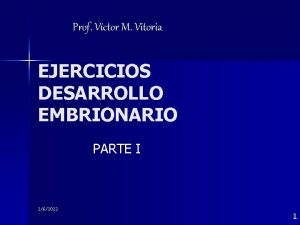 Prof Vctor M Vitoria EJERCICIOS DESARROLLO EMBRIONARIO PARTE