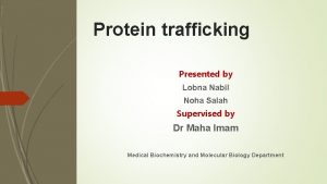 Protein trafficking Presented by Lobna Nabil Noha Salah