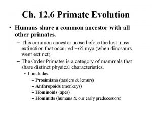 Ch 12 6 Primate Evolution Humans share a