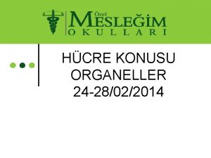 HCRE KONUSU ORGANELLER 24 28022014 MTOKONDR Hcrenin enerjiden