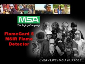 Flame Gard 5 MSIR Flame Detector EVERY LIFE