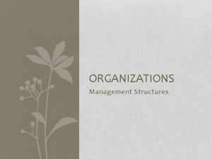 ORGANIZATIONS Management Structures Organizations An organization is a