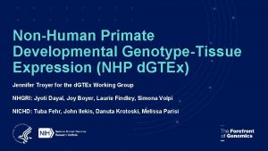 NonHuman Primate Developmental GenotypeTissue Expression NHP d GTEx