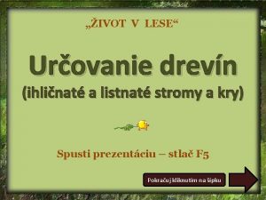 IVOT V LESE Urovanie drevn ihlinat a listnat