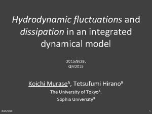 Hydrodynamic fluctuations and dissipation in an integrated dynamical