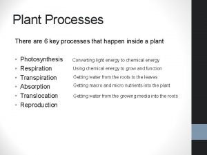 Plant Processes There are 6 key processes that