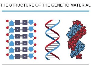 THE STRUCTURE OF THE GENETIC MATERIAL DNA is