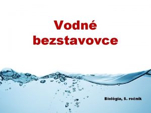 Vodn bezstavovce Biolgia 5 ronk bezstavovce ivochy ktor