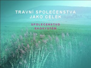 TRAVN SPOLEENSTVA JAKO CELEK SPOLEENSTVO EKOSYSTM Potravn vztahy