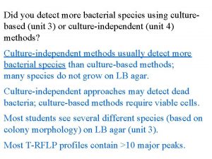 Did you detect more bacterial species using culturebased