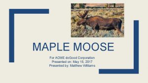 MAPLE MOOSE For ACME do Good Corporation Presented