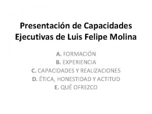 Presentacin de Capacidades Ejecutivas de Luis Felipe Molina