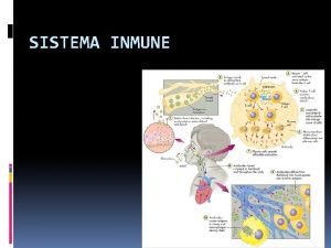 SISTEMA INMUNE Objetivos de aprendizaje 1 Definir trminos