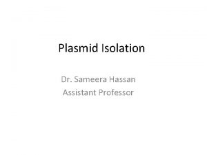 Plasmid Isolation Dr Sameera Hassan Assistant Professor Plasmid