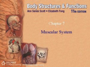 Chapter 7 Muscular System 2009 Delmar Cengage Learning