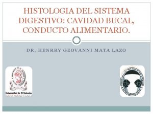 HISTOLOGIA DEL SISTEMA DIGESTIVO CAVIDAD BUCAL CONDUCTO ALIMENTARIO