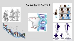 Genetics Notes How do we inherit traits Heredity