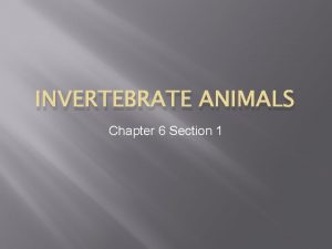 INVERTEBRATE ANIMALS Chapter 6 Section 1 What is