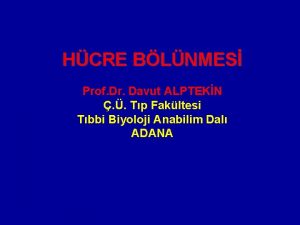 HCRE BLNMES Prof Dr Davut ALPTEKN Tp Fakltesi