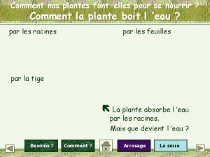 Comment nos plantes fontelles pour se nourrir Comment