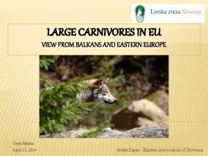 LARGE CARNIVORES IN EU VIEW FROM BALKANS AND