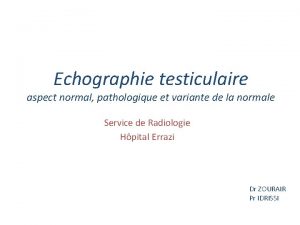 Echographie testiculaire aspect normal pathologique et variante de
