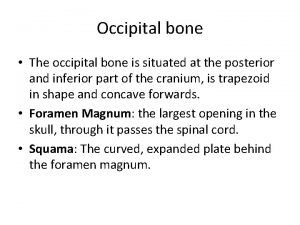 Occipital bone The occipital bone is situated at