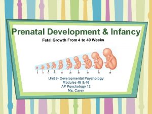 Prenatal Development Infancy Unit 9 Developmental Psychology Modules