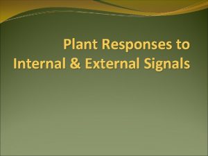 Plant Responses to Internal External Signals LE 39