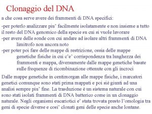 Clonaggio del DNA a che cosa serve avere