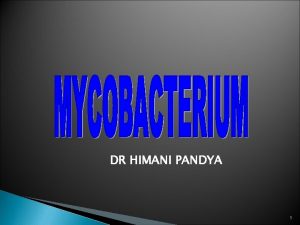 DR HIMANI PANDYA 1 Family Mycobacteriaceae Straight or