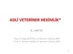 ADL VETERNER HEKMLK 6 HAFTA Do Dr Sezgin