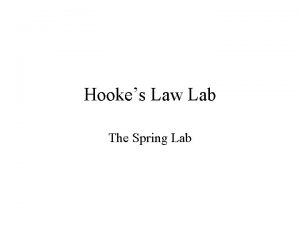 Hookes Law Lab The Spring Lab Evaluation of