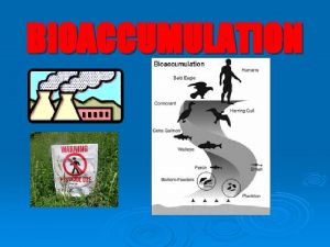 BIOACCUMULATION Chemical Pollutants Humans have been introducing synthetic