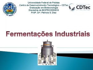 Universidade Federal de Pelotas Centro de Desenvolvimento Tecnolgico